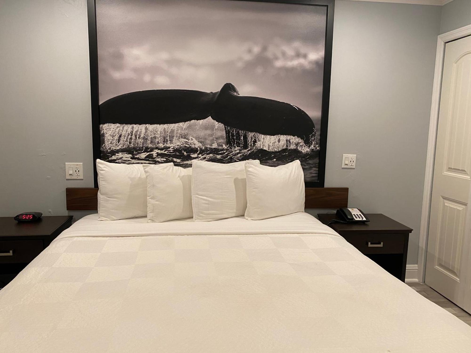 King Room - Non-Smoking