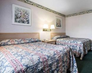 Double Room Two Double Beds Non-Smoking
