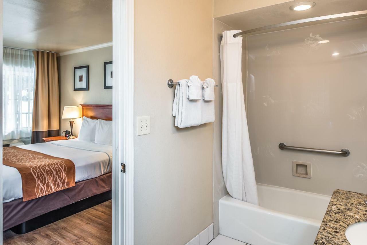 Standard Room Two Queen Beds Non Smoking