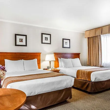 The Inn At 1252 Monterey-2